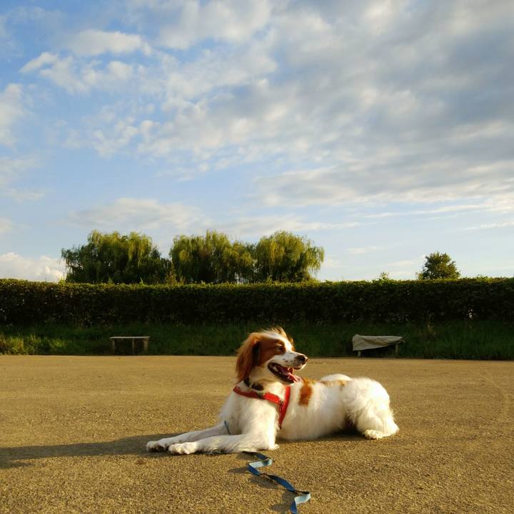 B5bf36b1 761f 43a5 86f8 315e6d6ceadb 1533902359926