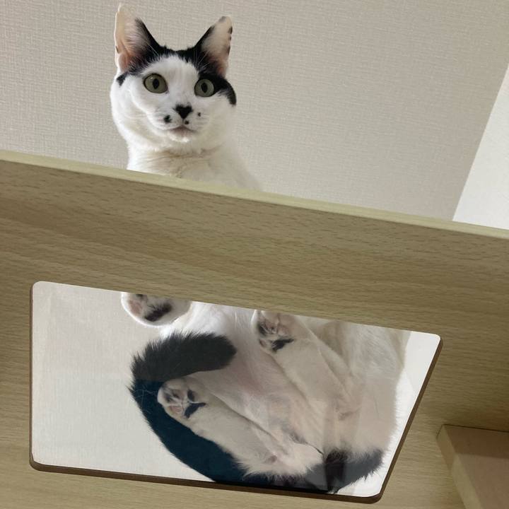 B5bf3b75 caf6 450b 961b a47f6424c33c 1775138191162