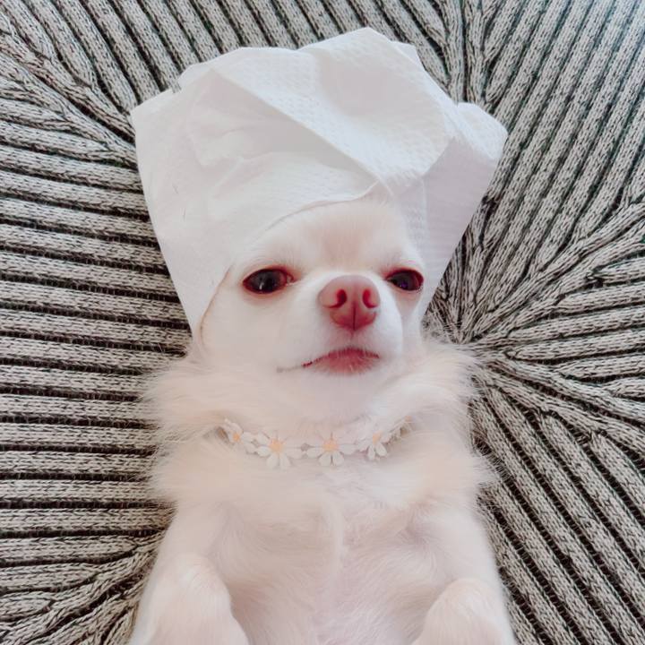 B5bf7cc2 2e8b 4a8f 9c89 4af0721f6d8a 1693557358784