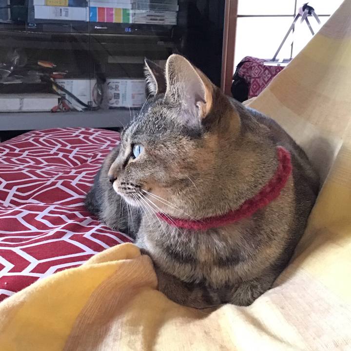 B5bfa016 d075 4638 8880 7dd9c260a712 1611735001241