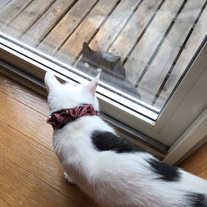 B5bfa647 9d03 4286 a800 c779d4ba7940 1621723006996