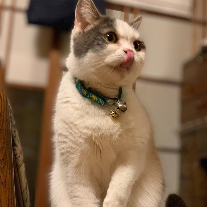 B5bfaa8a 6ef9 4d90 bbe4 308dc5cceb40 1677669249178