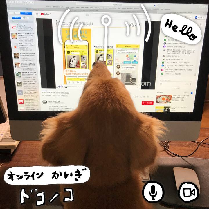 B5bfb6b1 54ff 47f6 a93a b4c43845f48a 1591361004059