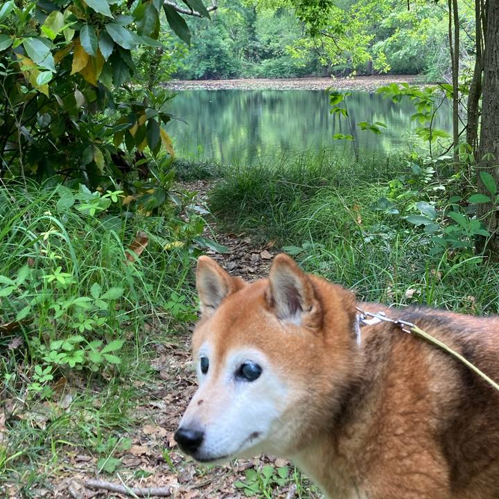 B5bfd984 1f45 4325 bd8b 7beffbbef889 1714366613652