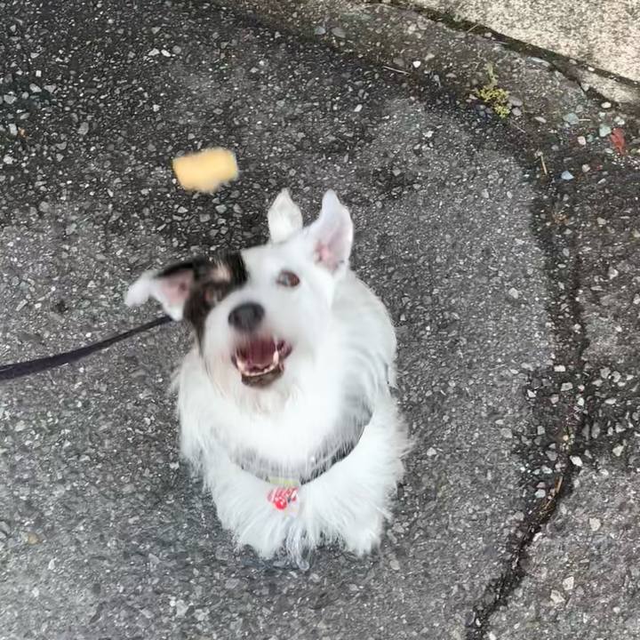 B5bfdd68 f948 4aad 8900 b0a99850eb6b 1692744168987