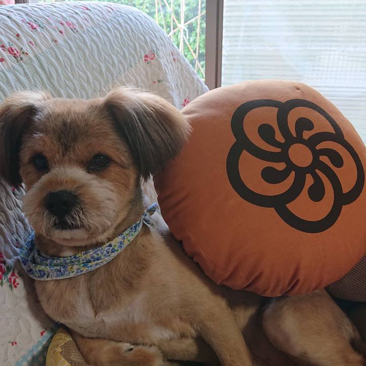 B5bfe51c 660b 4a33 82a1 ab426d635729 1560588737842