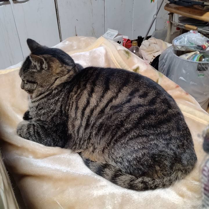 B5c03018 0113 41ef 99e2 1d20916938ec 1703656499854