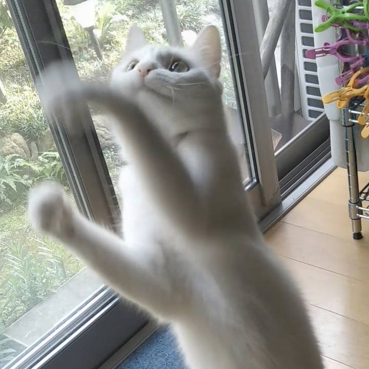 B5c0696c f099 4087 958f 56b6ca9c5248 1626387059934