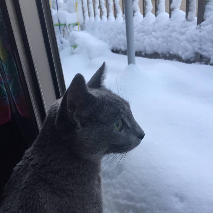 B5c08bd1 a6ae 4af7 86b3 19ad5c3828b4 1516710663101