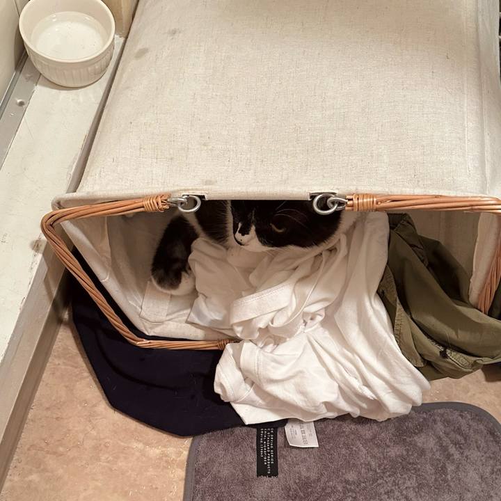 B5c0b5e6 8e48 4e22 8a3e ffc06bdb2ad9 1754830599937