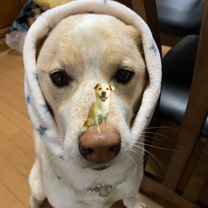 B5c0d3e6 8a8c 4920 be33 6e7257db2f26 1636947563212