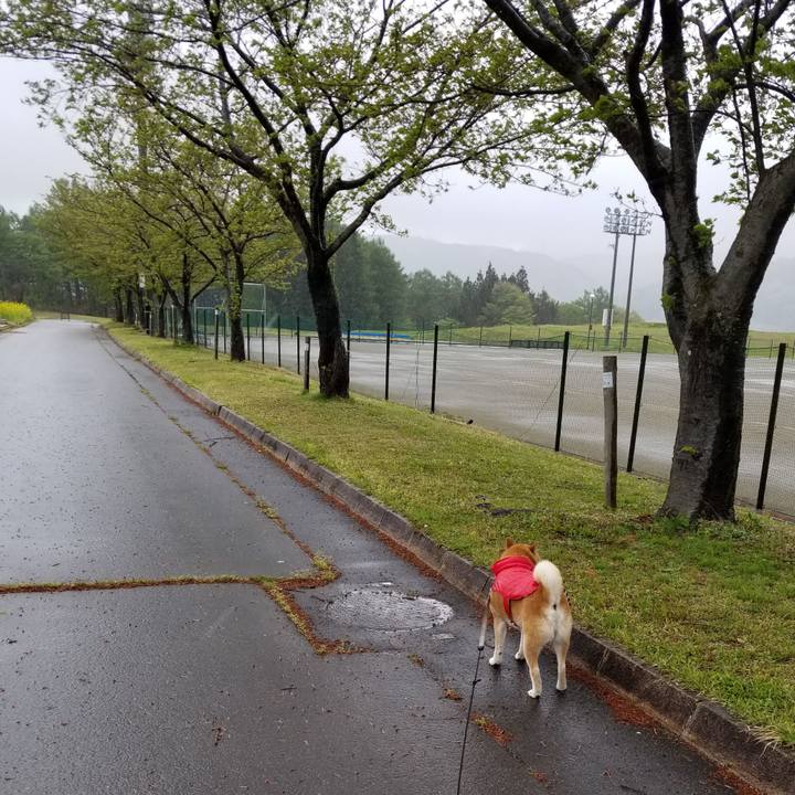 B5c0f5ab 364d 41e4 9517 0f3040beb67e 1619938847573