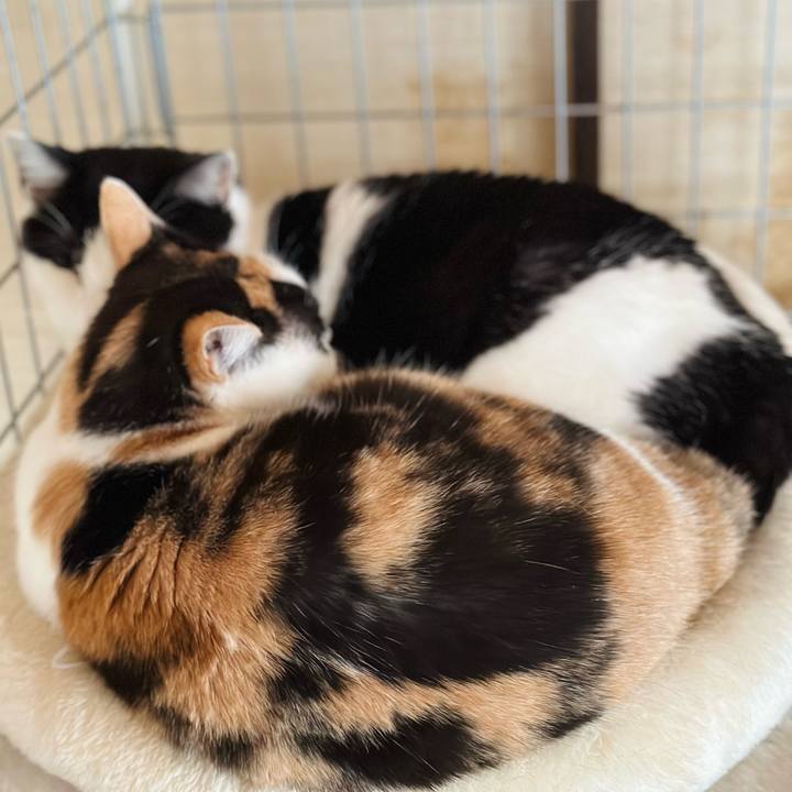 B5c11d15 6a81 4a42 8644 b82653e34163 1704330945782