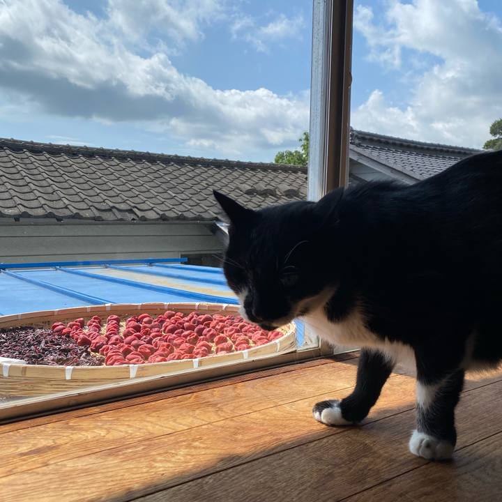 B5c13a66 23c2 464e b149 879c1a8a0d87 1659832275015