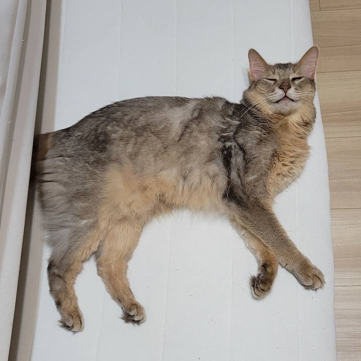 B5c1ab4b c3f0 4e42 b335 66472d18fb79 1660016713091