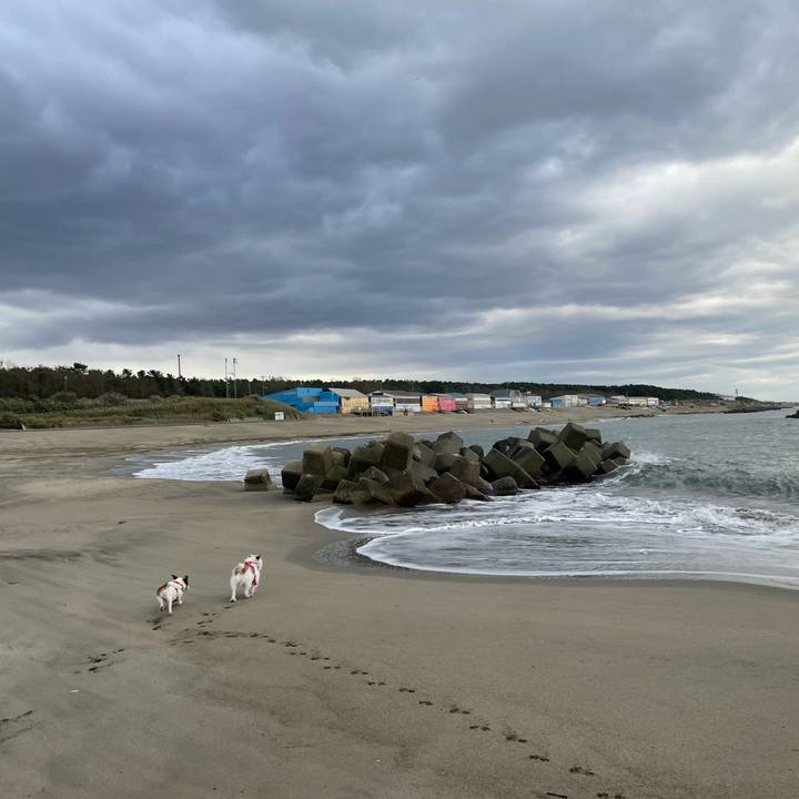 B5c1b3b9 1f9c 4f98 8101 d840a1187740 1666571109675