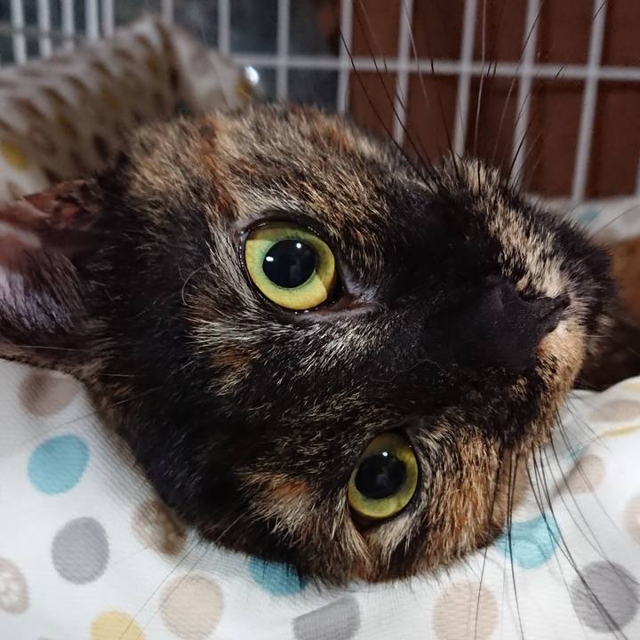 B5c20a5c 487b 47c1 a575 810da127413f 1535037224058