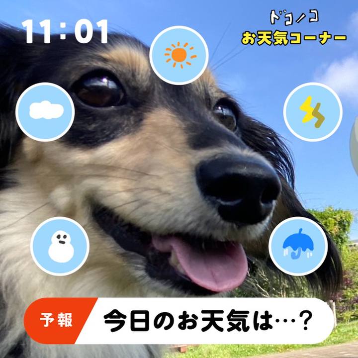 B5c23ddf 7b7d 4c54 a644 c350e257d6c5 1781830699892