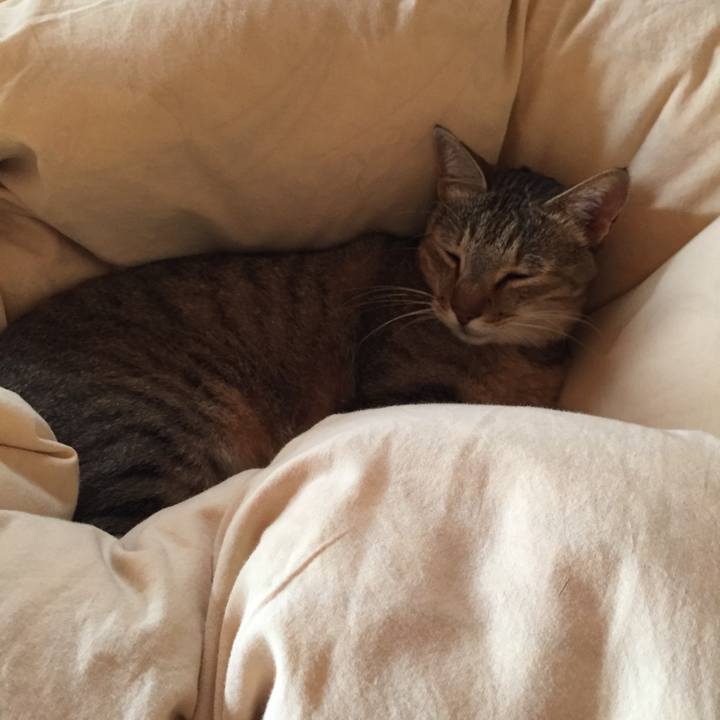 B5c2714a d800 4ec9 89df 13b1eddfab75 1534717905277