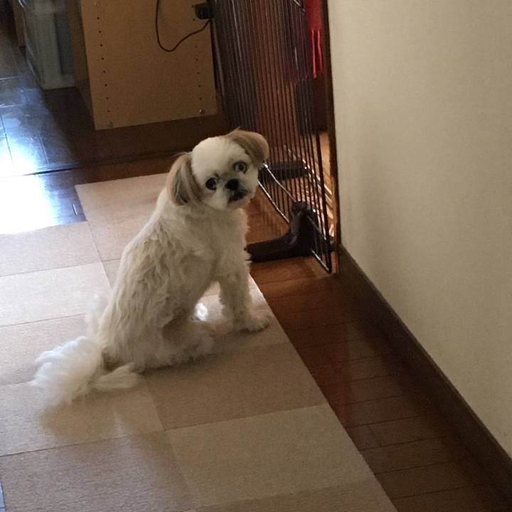 B5c2b4bf e09b 4250 9696 1f0cb957fbbc 1603858786066