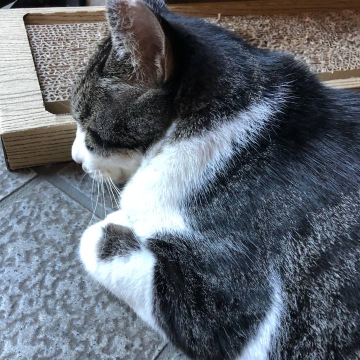 B5c2d52a 7647 4211 b14a 6d1c743b6057 1599268520721