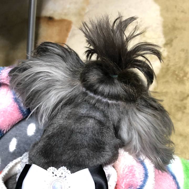 B5c2f30c 7469 47a1 98be 9703fbbfeb56 1550187679386