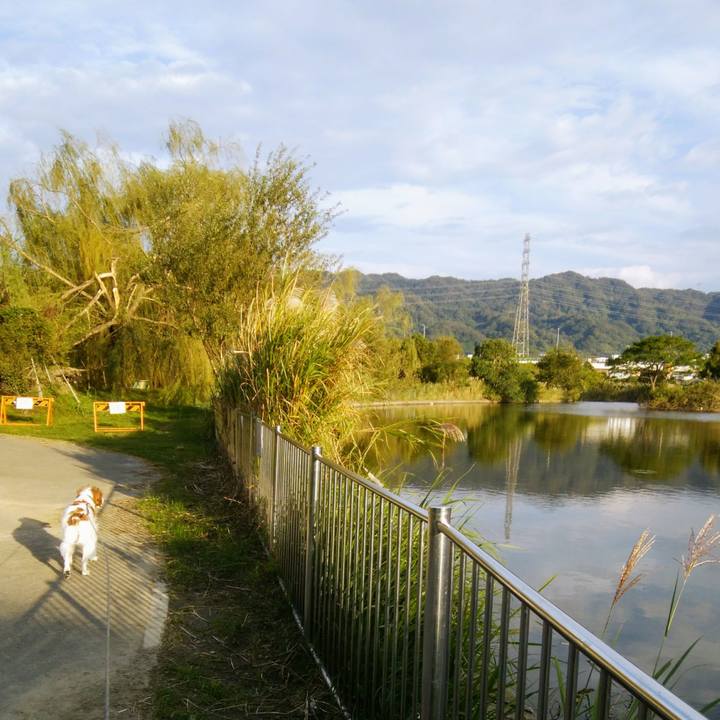 B5c33d6e a135 4840 942c 08e736f34223 1539766147845