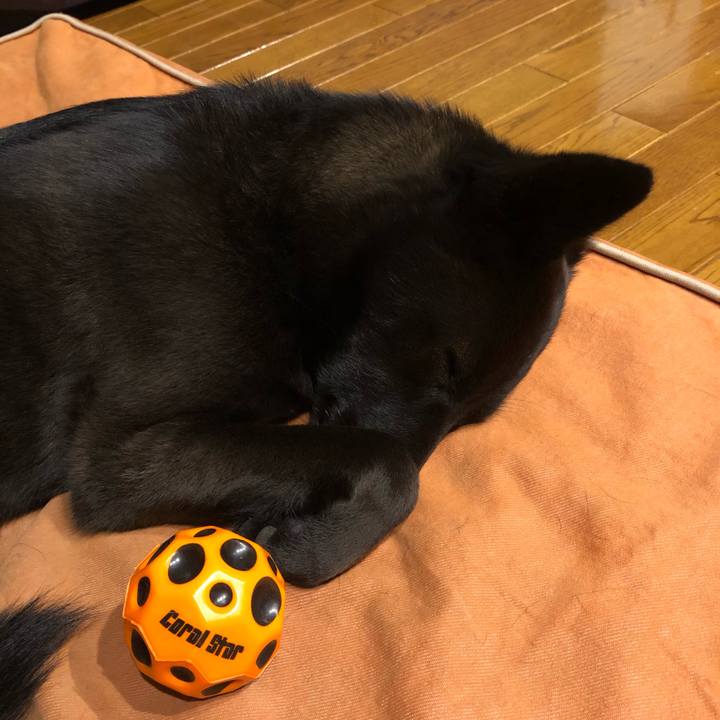 B5c3657c 9993 4598 88eb 2124f68a6822 1560086137061