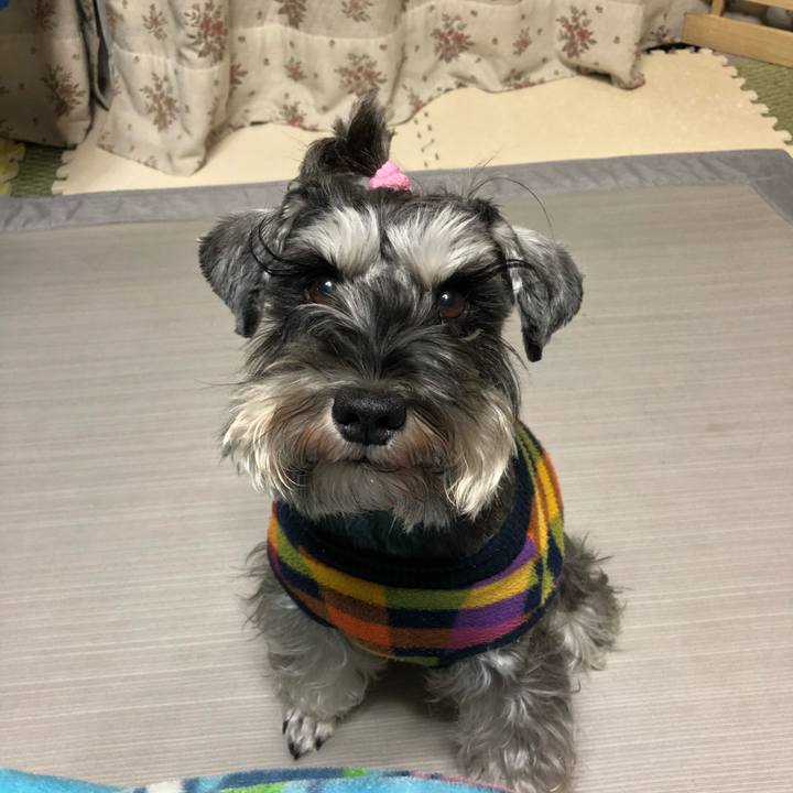 B5c387bb 7a7c 41bc 9ab1 49a08e691801 1573734943934