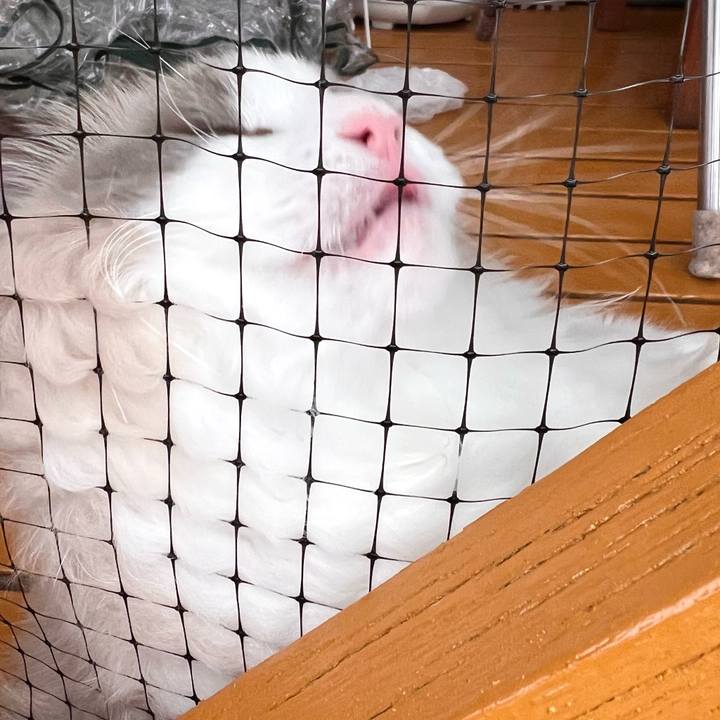 B5c3bfd7 5c73 4c47 ac90 3d204b4e49c5 1721164664106