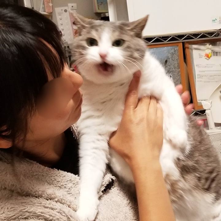 B5c3e56f 0880 4855 9e6f e8a342f3dd74 1689307437124