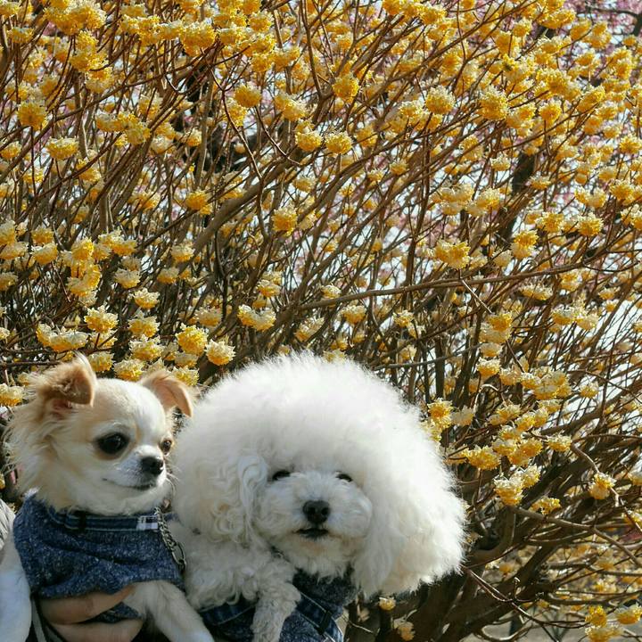 B5c416c4 dca9 41e9 bc82 1bc92e14f6f0 1521638340973