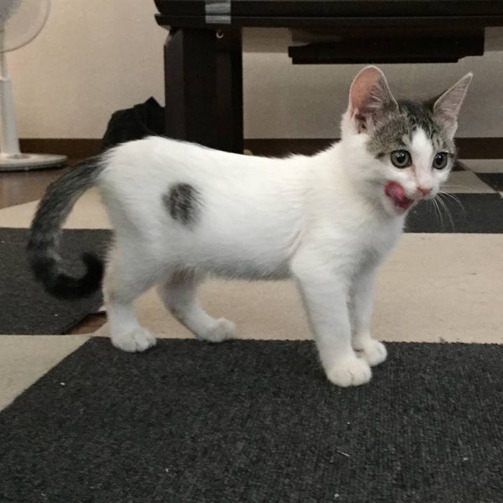 B5c41cf8 f64b 424a b77e 0c09e8452caa 1523619639040