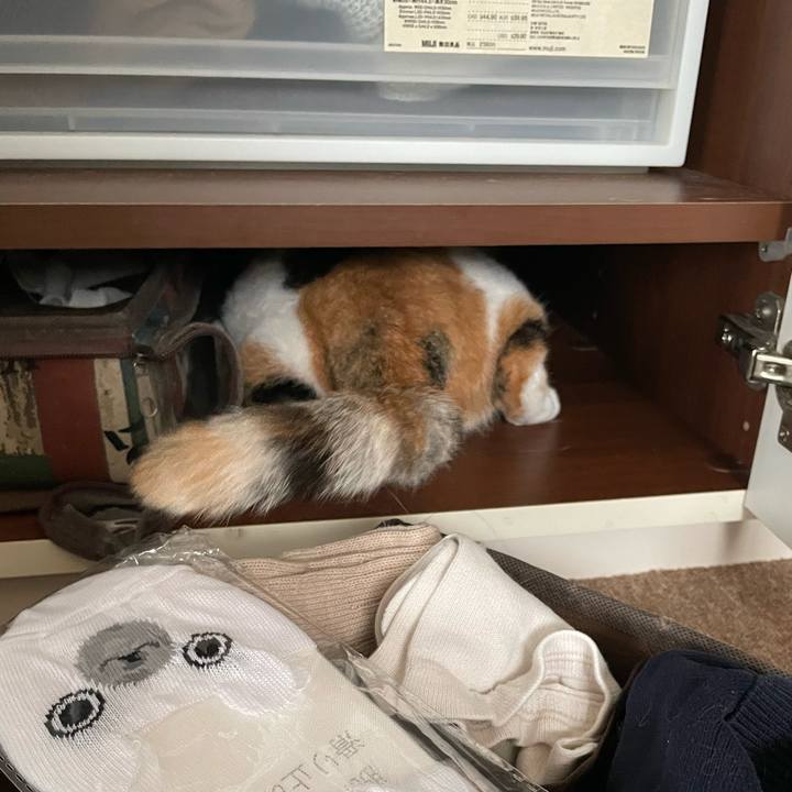 B5c4272b 3efa 4cea b721 73baeac4b08b 1694242768249