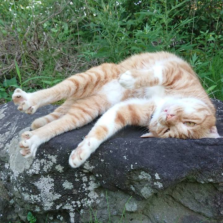 B5c4351b ca19 4dad bb6e fb3cd82b532c 1597914274545