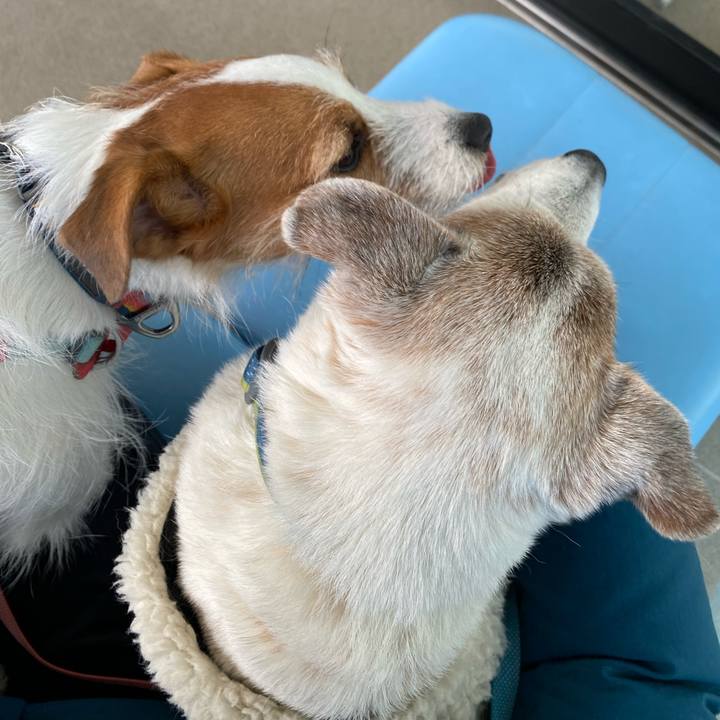 B5c47cc8 2e16 4d24 aee5 8f29f94a9db1 1705111387147