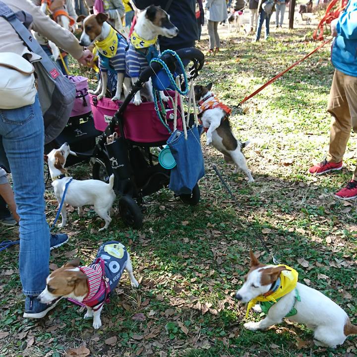 B5c4d8a6 195e 4a7a 90de 6f04cd4023c8 1606546148362