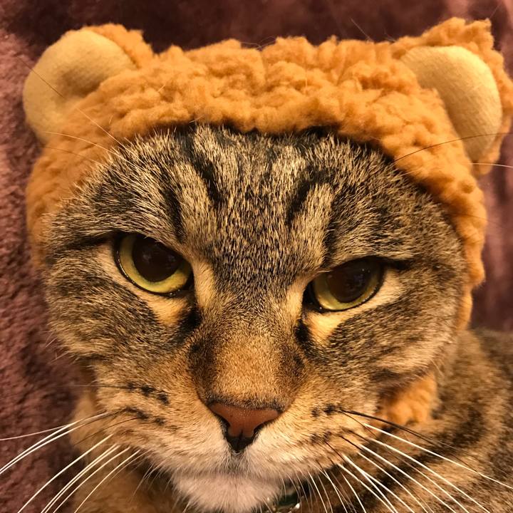 B5c4e330 69f5 46e9 beb4 bd2cfe89854c 1514995747906