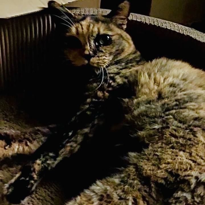 B5c51fd2 d739 44e1 97af d867d2019523 1755980461591