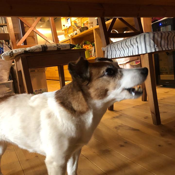 B5c546c4 fbda 412d aea4 1bd85f32d4de 1513518481740