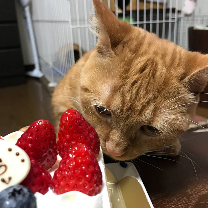 B5c54789 4d97 44ab a8fe d0fd55232945 1517578694517