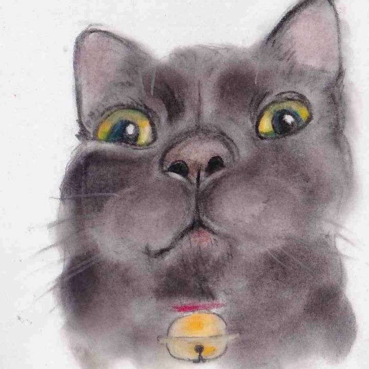 B5c553de 2c33 4e39 997c fc6dd35d4e63 1653916035766