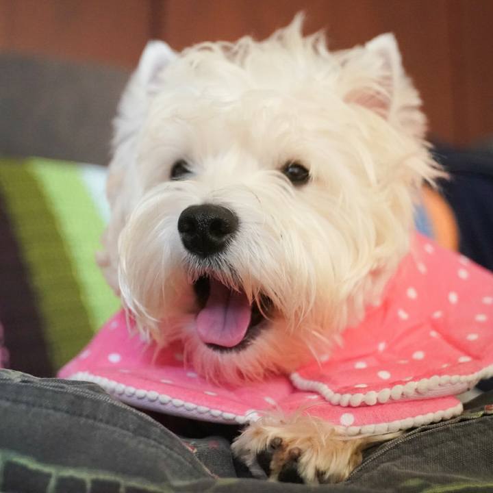 B5c56643 867c 4f56 9c2f 8fa49c9cdeb9 1513159784955