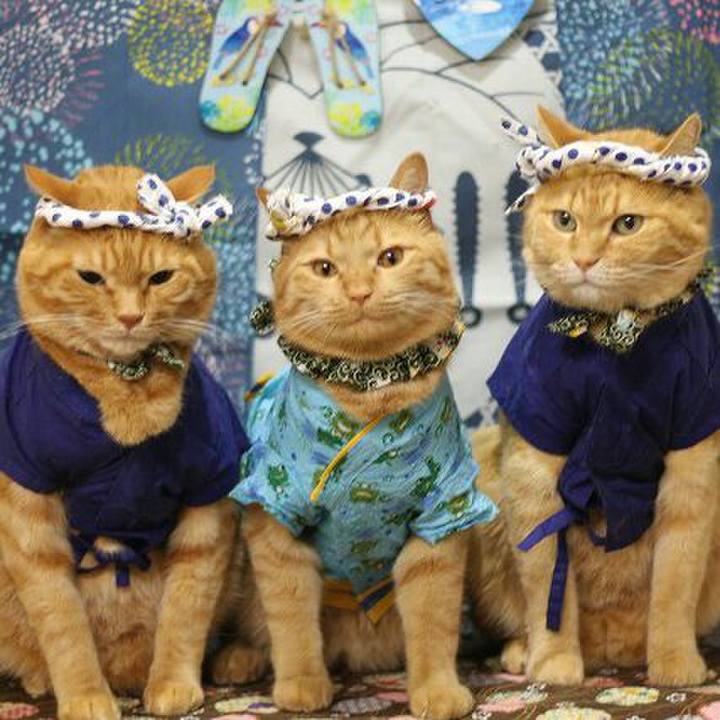 B5c5710e 96c6 4464 ac08 e10568401279 1565709896102