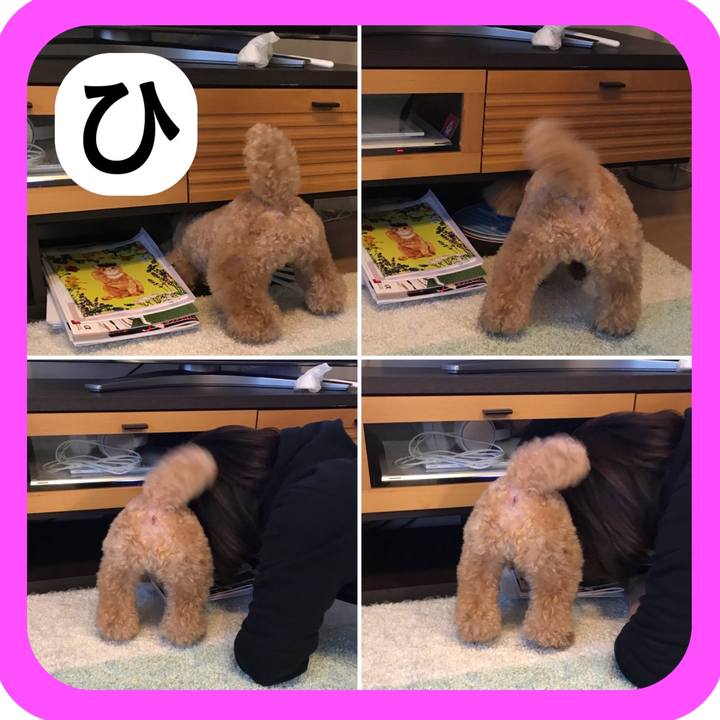 B5c59fe0 0888 403a a29e 2a155c3ec808 1514995158372