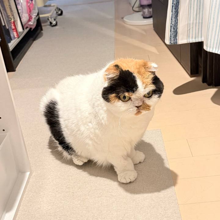 B5c5bbc3 869f 40c1 9cc7 0fc972aaaffe 1763923538499