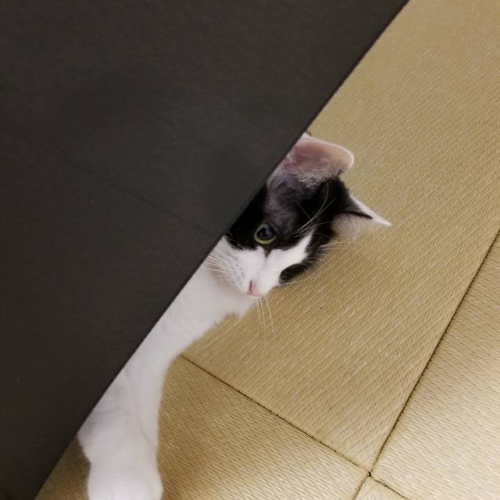 B5c5bce1 31ba 4c26 ac30 1764ea3534a3 1537618782046