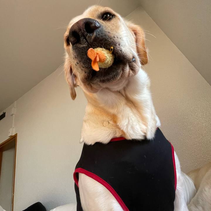 B5c5c412 5601 4e08 9d6f 2701586b40b5 1668041030886