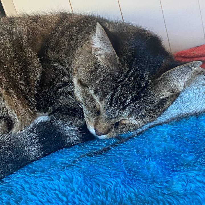 B5c5d551 b92e 4c12 9c7f 1461a832f01b 1638059215620