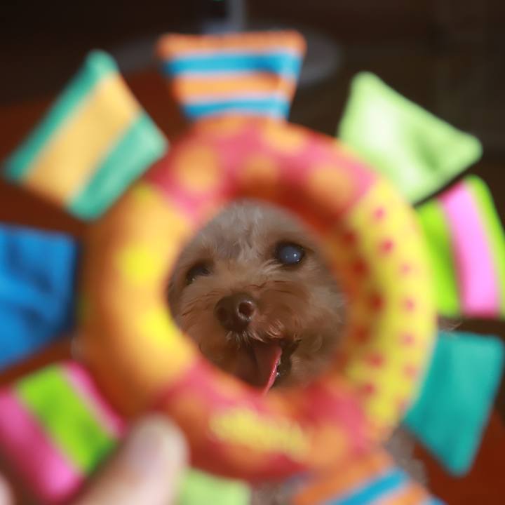 B5c5e720 04b5 4d57 9903 f5e0d4d259f4 1568242341047